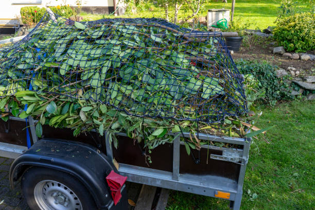Best Hoarding Cleanup  in Hastings, MN